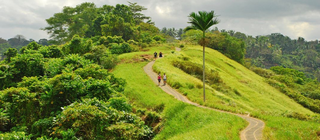Campuhan Walk Ridge in Ubud