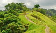 Campuhan Walk Ridge in Ubud