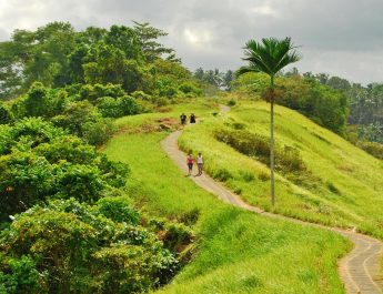 Campuhan Walk Ridge in Ubud