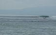 Surfing around Sanur Beach